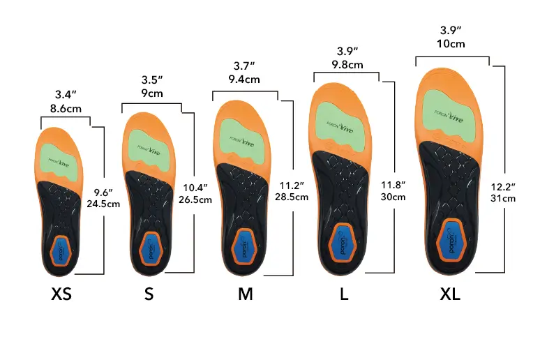 Size Comparison